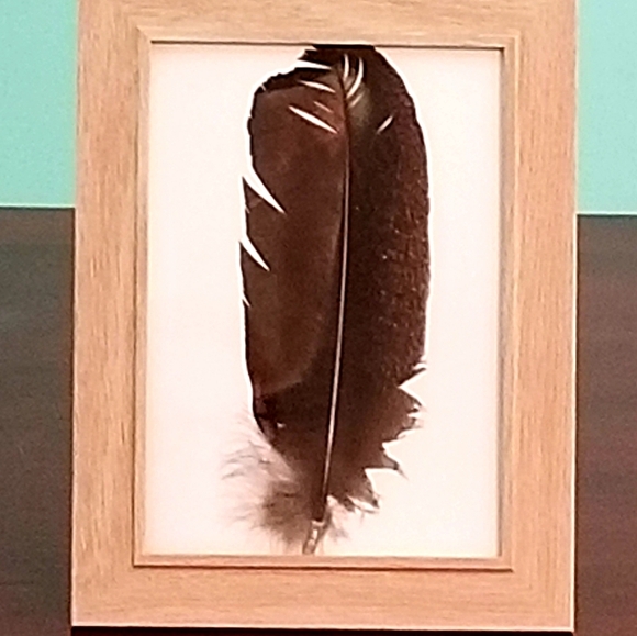 Turkey Feather Artwork in 5×7 wood Hang or Stand alone Frame/ Featherwork - Picture 5 of 6